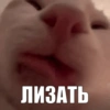 MayonesBlog 23