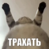 MayonesBlog 10