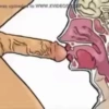 게이 섹스 🍆 최고 팩 42