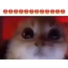 Salebat Favoritos Videos 57