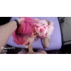 ¦ ¦ ¦ :: @FStikBot 37