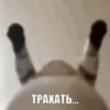 .Porn. from: :: @fStikBot 45