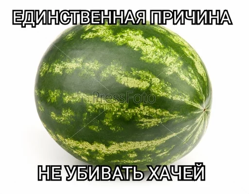 Хачи и чурки 84