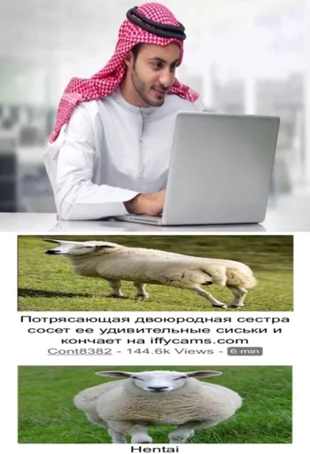 Хачи и чурки 72