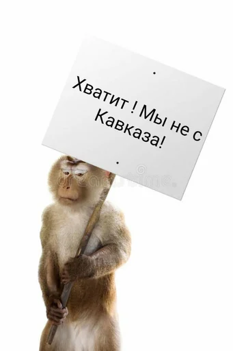 Хачи и чурки 49