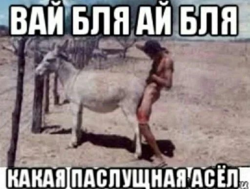 Хачи и чурки 64