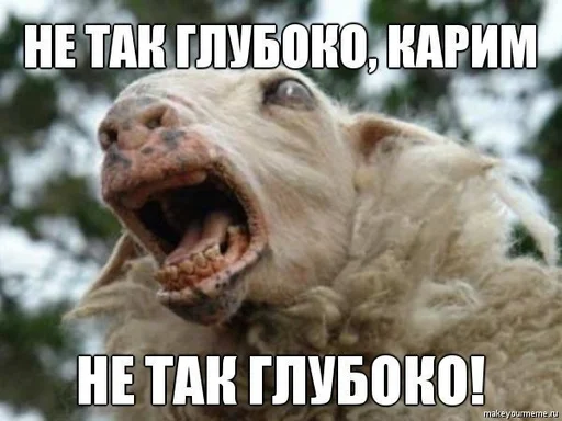 Хачи и чурки 83