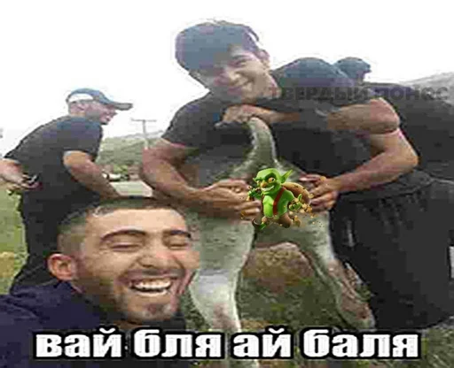 Хачи и чурки 71