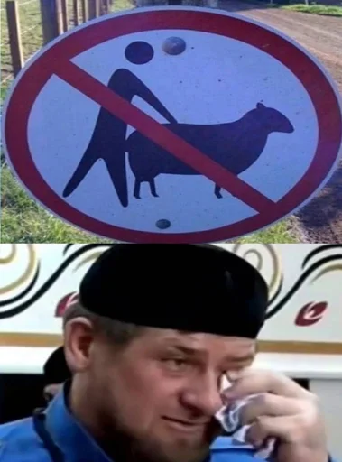 Хачи и чурки 63