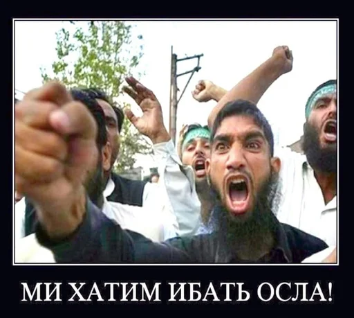 Хачи и чурки 80