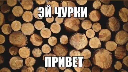 Хачи и чурки 61