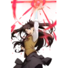 Fate Series 13