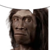 You 43
