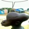 You 91