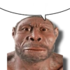 You 44