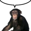 You 62