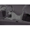 Hentai 17