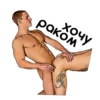 Gay dom stickers 29