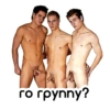 Gay dom stickers 19