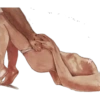 芸術とセックス 24