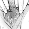 Pussy 22
