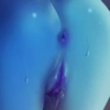 Pussy 33
