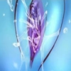 Pussy 29