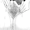 Pussy 55