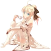 Fate Series 65