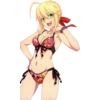 Fate Series 73