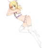 Fate Series 71
