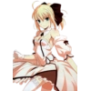 Fate Series 56