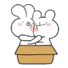 🐇 BUNBEAR 🐻 (Vol. 5) Mov 16