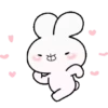🐇 BUNBEAR 🐻 (Vol. 5) Mov 20