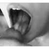 Seksi 11