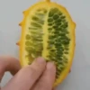 🔞🍆🥝Fruit Exotic🍓(Deluxe)😈 16