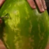 🔞🍆🥝Fruit Exotic🍓(Deluxe)😈 29