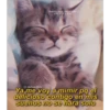 Variado pt2😽 25