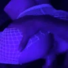 Sad-Light  ️(Deluxe) 25