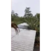 Solo para Adultos4 24