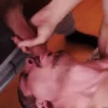Blowjobs 1 29