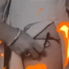 Porno erotico movi 24