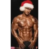 Chicos Sexis Navidad 1 6
