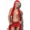Chicos Sexis Navidad 1 12