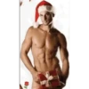 Chicos Sexis Navidad 1 17