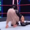 Sexy Boxing 6