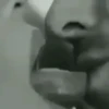 সীমানা ছাড়া আবেগ 30