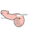 Porn emojis 10