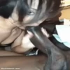 Big black dick time 19