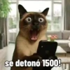 se detonó 1500!